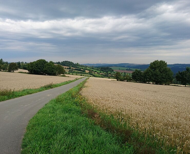 Pöhlberg/Rund um Mildenau (Online TVE)