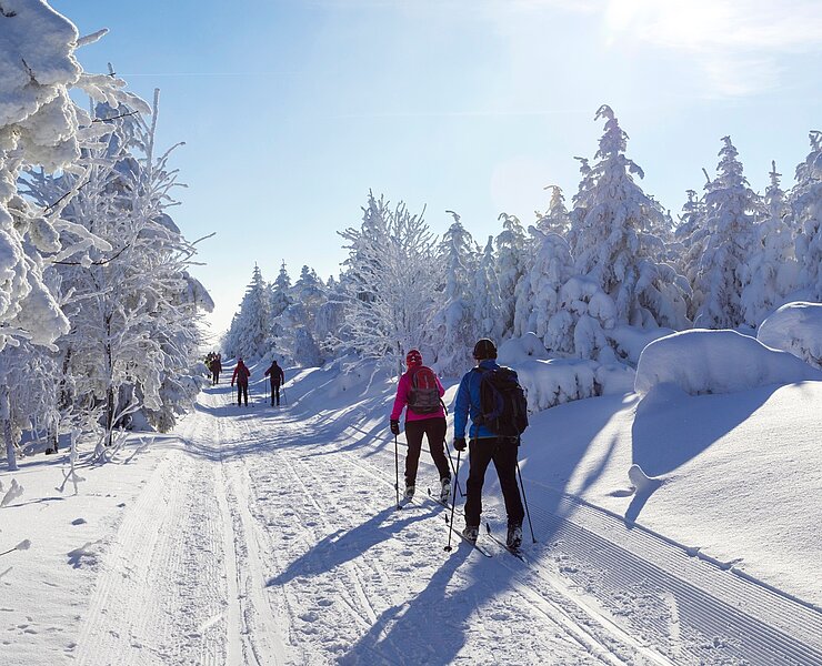 Winter in der Urlaubsregion Altenberg - Langlaufen (Andreas Franke)
