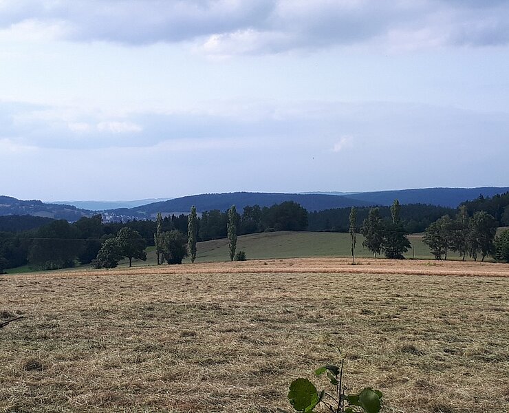Baumannsgraben (Kathrin Metzner-Kloß)