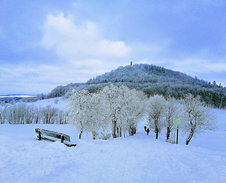 Auf dem Weg zum Geisingberg im Winter ()