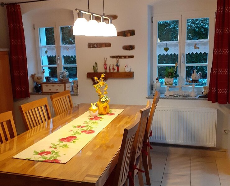 Besucher willkommen! Großer Esstisch in der Küche ()