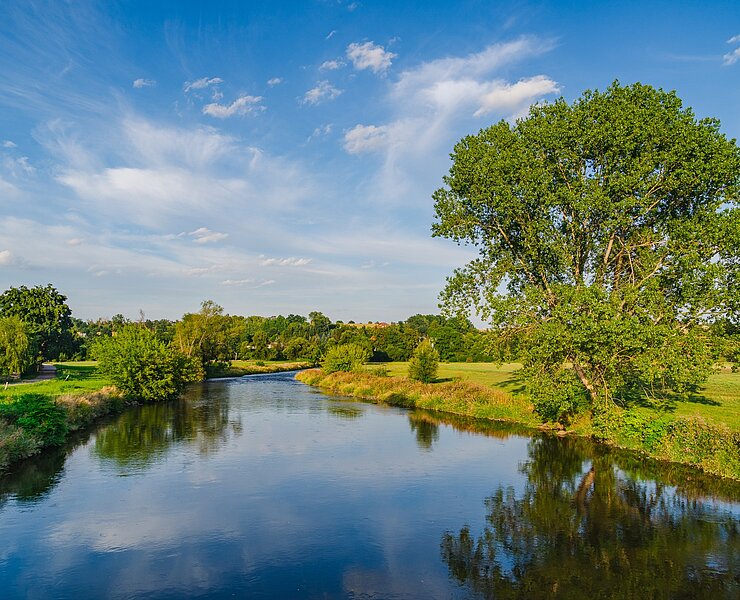 Blick von der Sörnziger Hängebrücke auf die Zwickauer Mulde (Bastian Rakow)