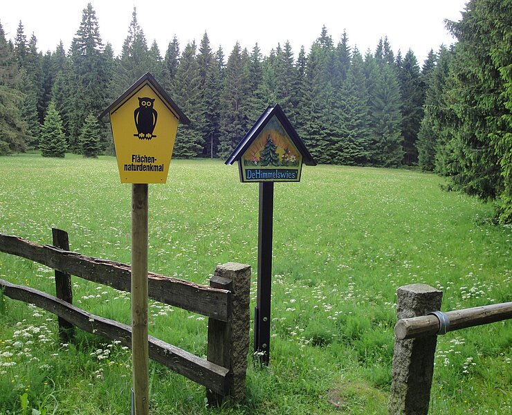 Himmelswiese im NSG Halbemeile (Birgit Knöbel)