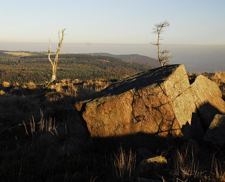 Lange Wiese (Petr Mikšíček)