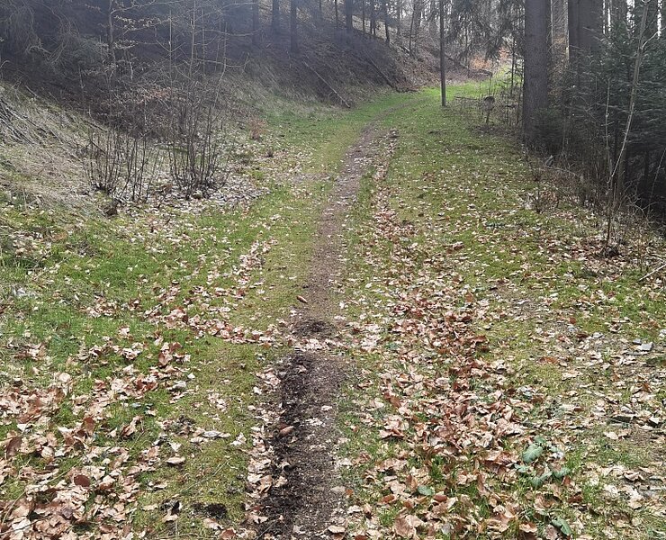 Aufstieg nach Zöblitz (Rico Oelmann)