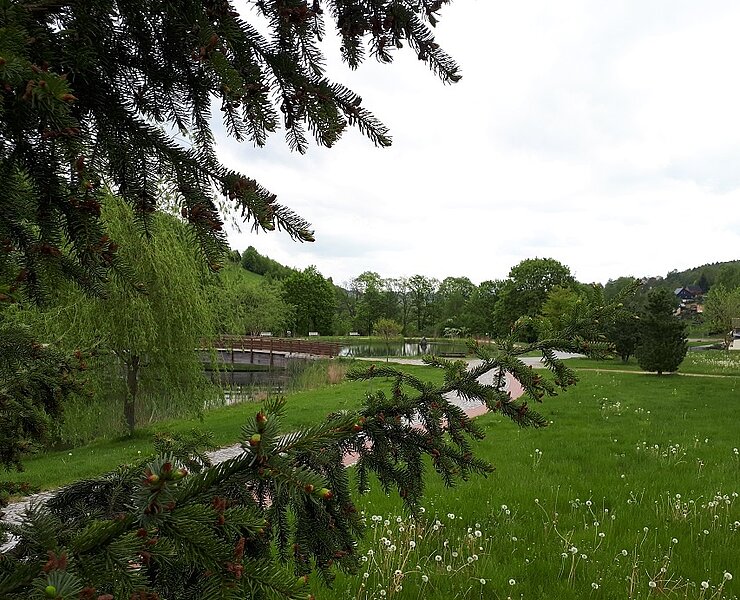 Teich Kurpark (Koordinator Städtebund Silberberg)