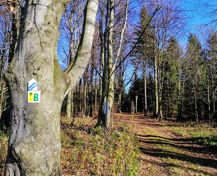 Wanderweg zum Hemmschuh - 14 Achttausender ()