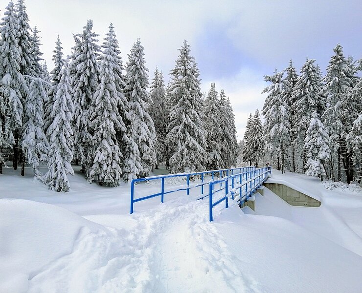 Winterwanderung rund um den Galgenteich ()