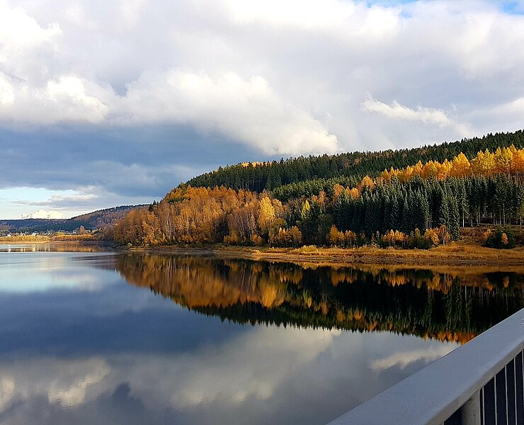 Talsperre Rauschenbach im Herbst (Undine Weise, Gemeinde Neuhausen)