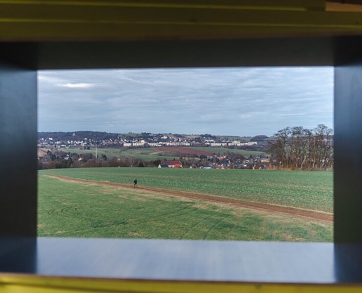 Twisted Peek (Rotmilan) in Oberlungwitz: Aussicht Wachturm (Ernesto Uhlmann)
