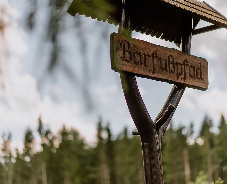 Barfußpfad beim Waldhotel Kreuztanne (Hilde Lenaerts)