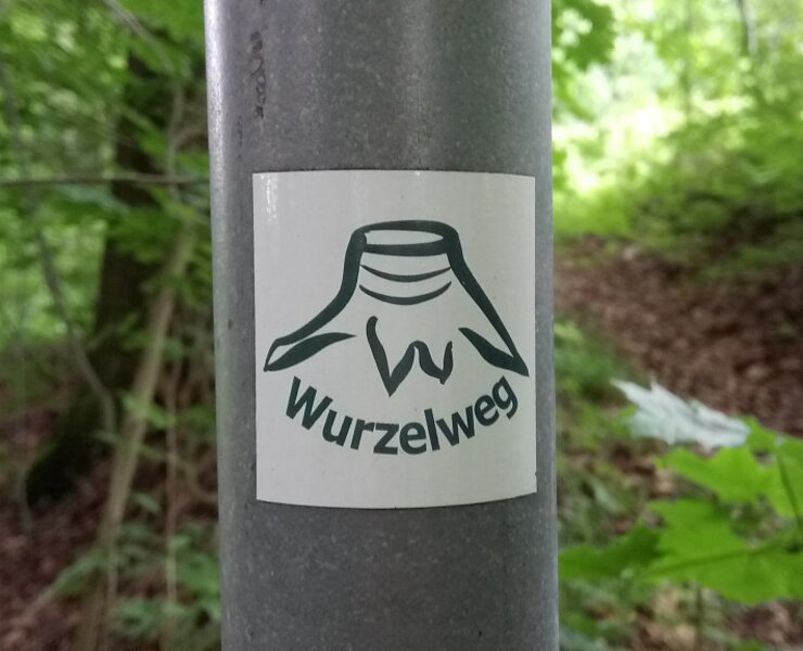 Beschilderung Wurzelweg (Stadt Zschopau Schloss Wildeck)