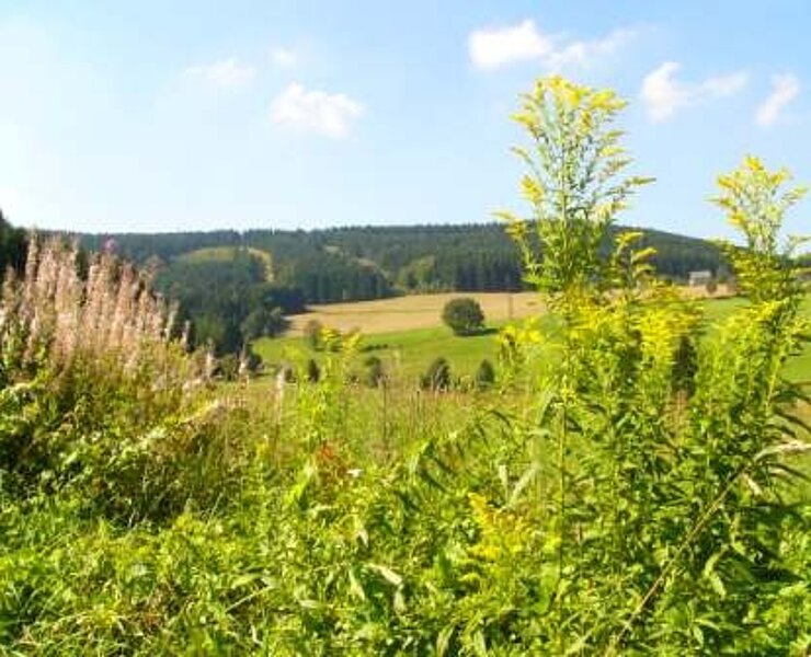 Blick auf den Rabenberg (Rainer Wesely)