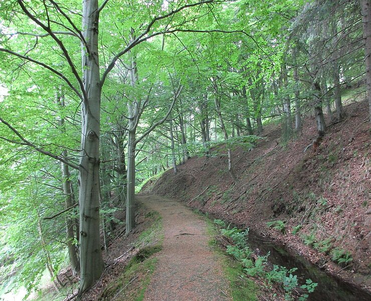 Floßgraben Cesky Jiretin (Undine Weise Neuhausen Tourismus)