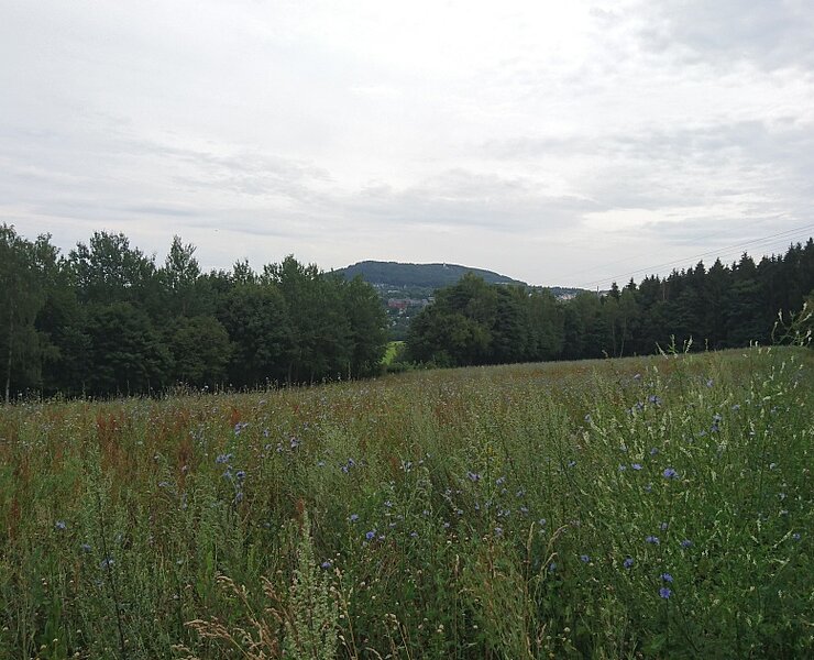 Pöhlberg (Online TVE)