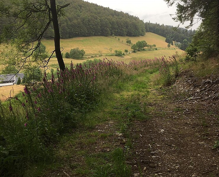Wandern Rehefeld ()