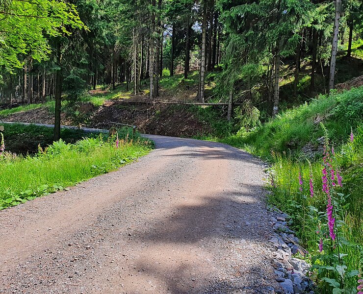 Seltmannweg (Steve Görner)