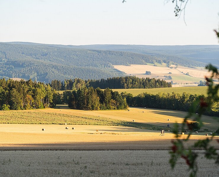 Ausblick von der Prinz-Friedrich-August-Höhe bei Elterlein (P. Eichler)