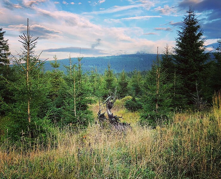 Blick zum Fichtelberg ()