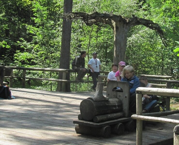 Walderlebnis Grillenburg ()