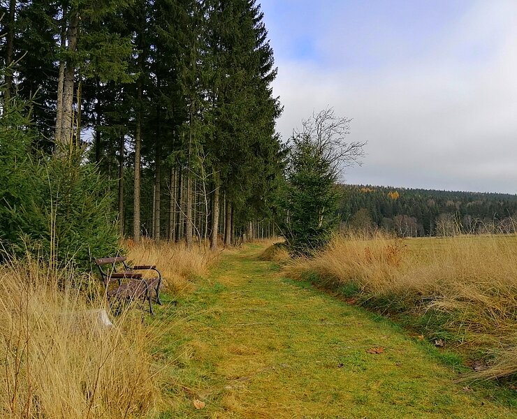 Wanderweg in Schellerhau ()