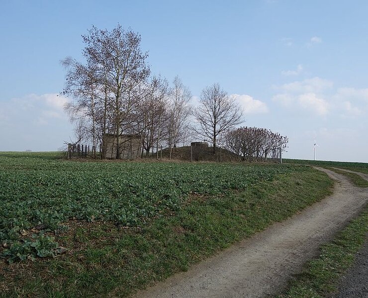 Der Kohlberg bei Hohentanne (Jens Grigoleit, Fremdenverkehrsverein Freiberg)