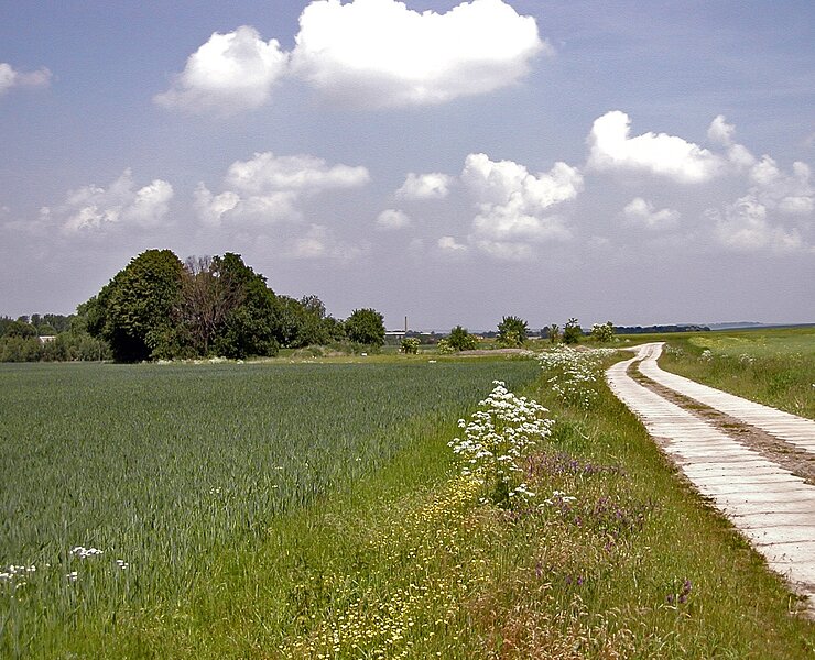 Rothschönberger Stolln - Lichtloch III (WFE GmbH Annaberg-Buchholz)