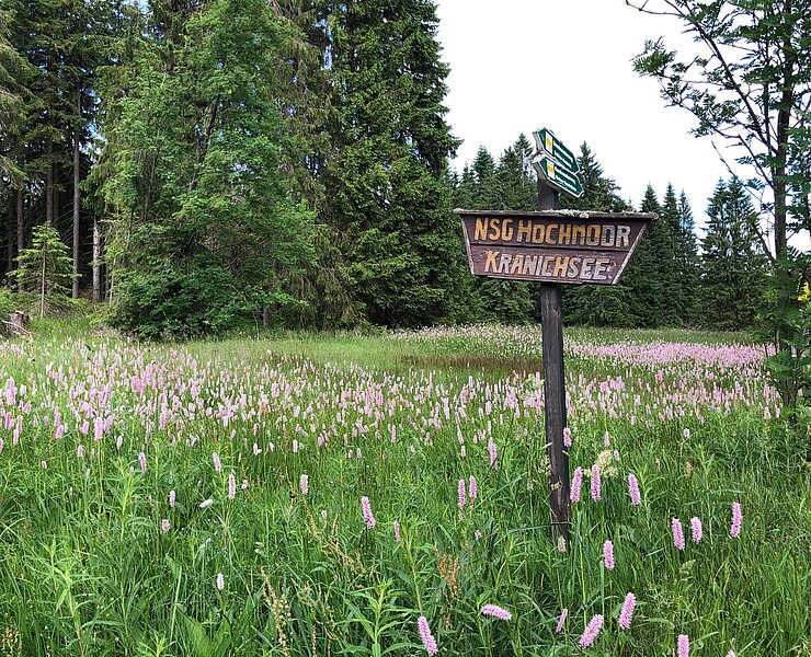 am Hochmoor Kleiner Kranichsee (Matthias Kleinke, Erzgebirge Erfahren)