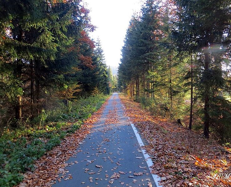 Mulderadweg bei Blauenthal (Reinhard Manzelmann)