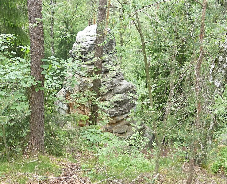 Sandsteinfelsen auf der Erashöhe (GEOPARK Sachsens Mitte)