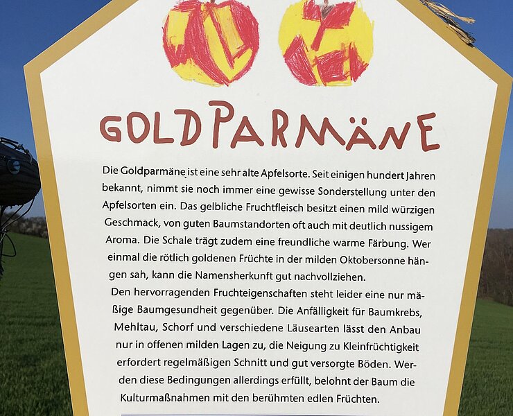  (Bianca Braun, Stadt Glashütte)