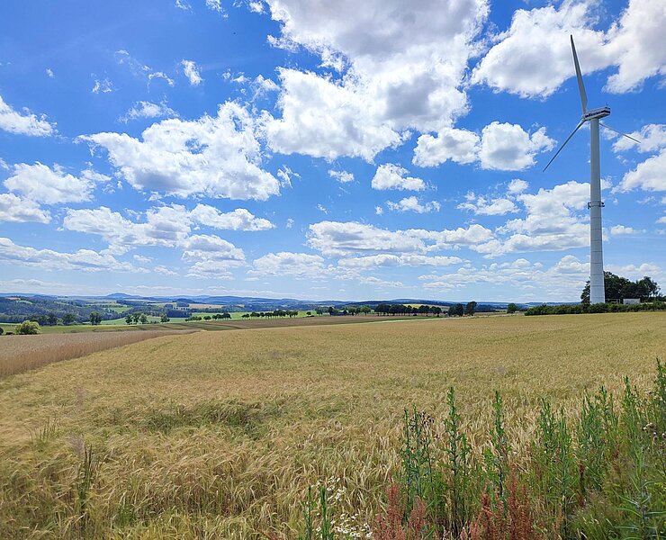 Blick zum Erzgebirgskamm (Jens Habermann)
