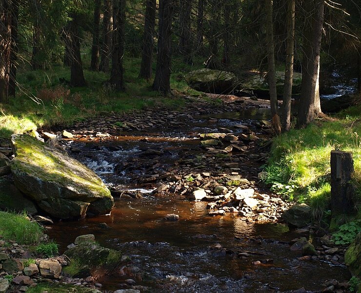 Schwarzwassertal (Matthias Drechsel)