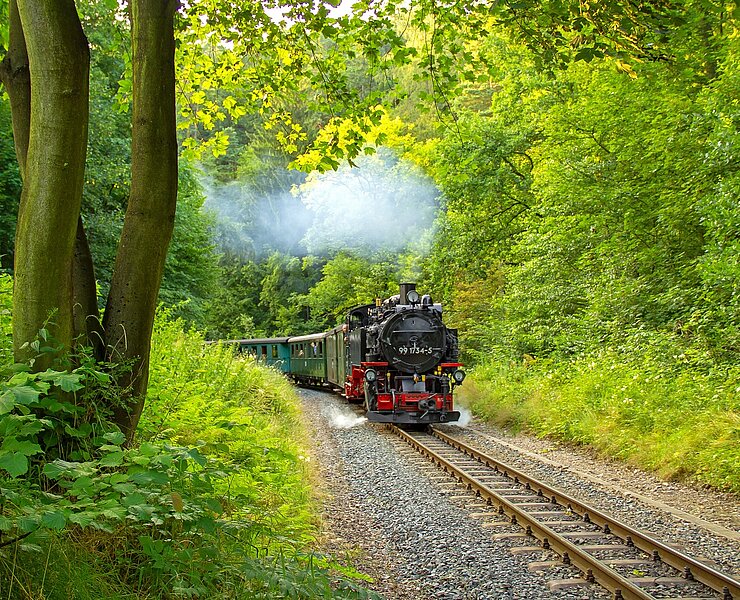 Weißeritztalbahn (Kati Schmidt)