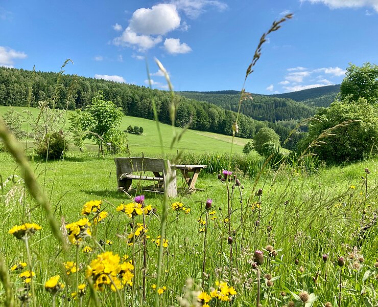Wanderimpressionen aus dem Luchsbachtal Pöhla (Stadtverwaltung Schwarzenberg)