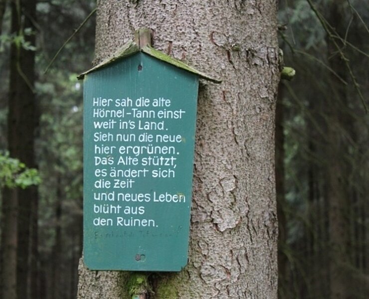 An der Hörneltanne in Olbernhau (Jan Ehnert)