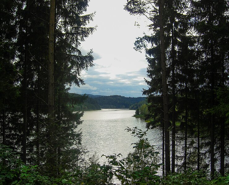 Blick Richtung Stützengrün (Thomas Müller)