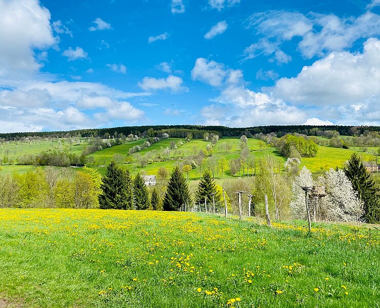Königswalde - Waldhufendorf (Tourismusverband Erzgebirge e.V. )