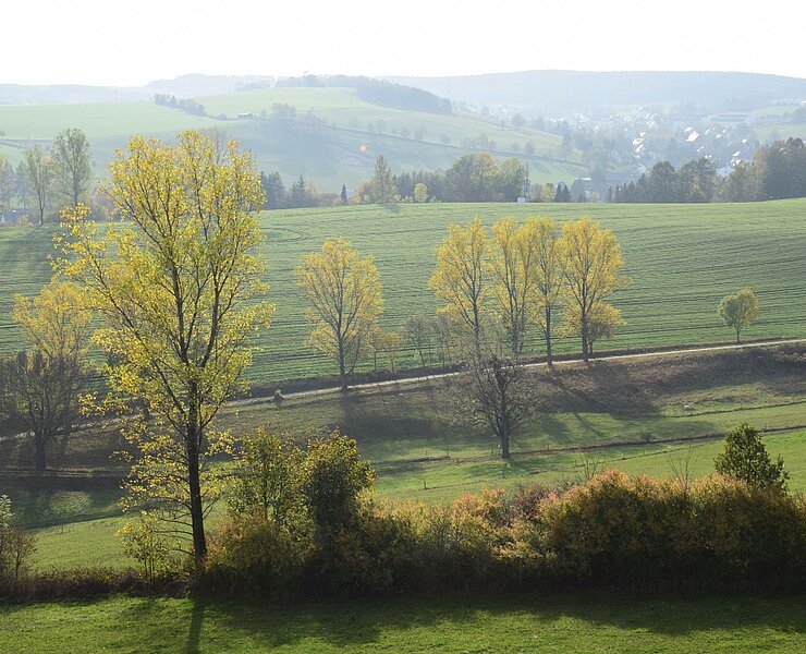 Blick vom Aussichtsturm in Gelenau (Corinna Bergelt)
