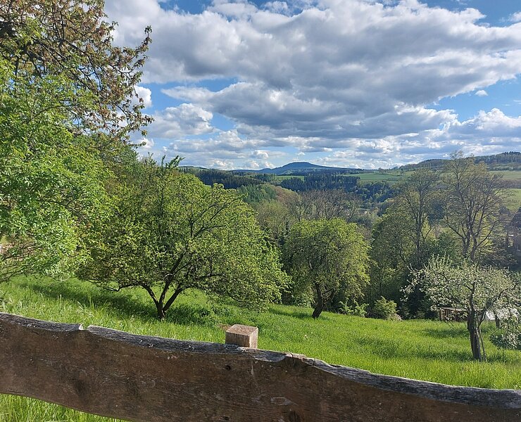 Aussicht von Wolkenstein auf den Pöhlberg (B. Knöbel)