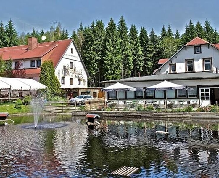 Teich an der Waldschänke (Ellen Gerlach)