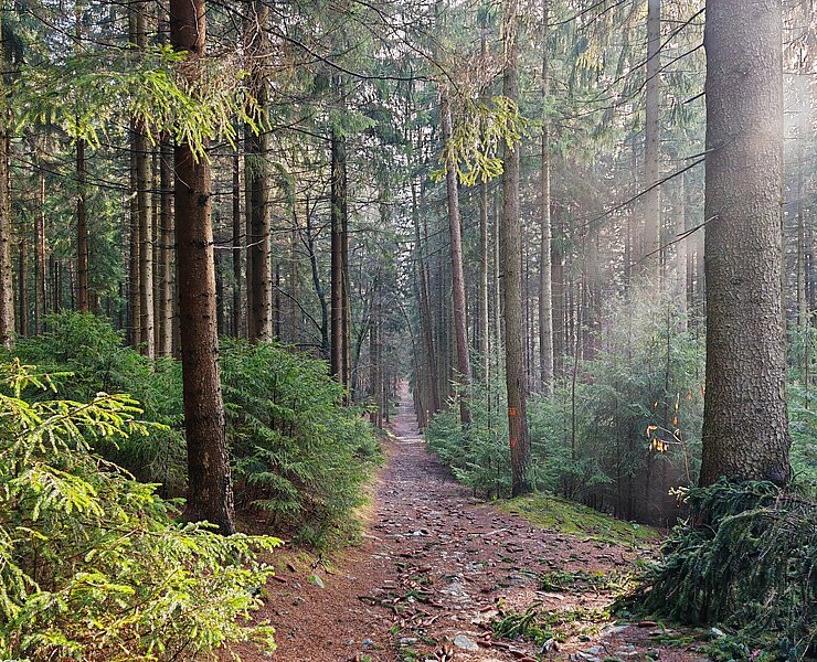  (Wanderbarer Silberberg PM)