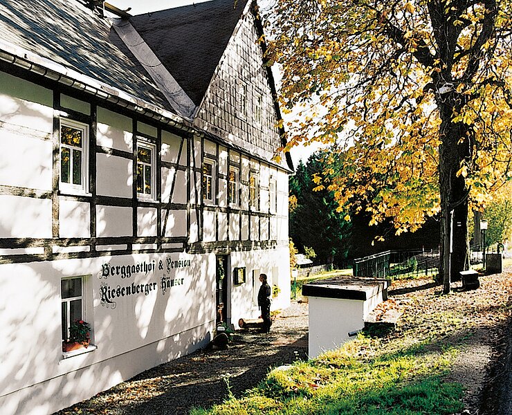 Gasthof & Pension "Riesenberger Häuser" Sosa ()