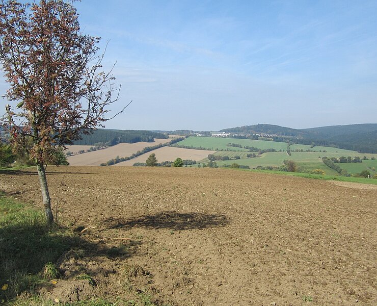Tannenberg (Online TVE)