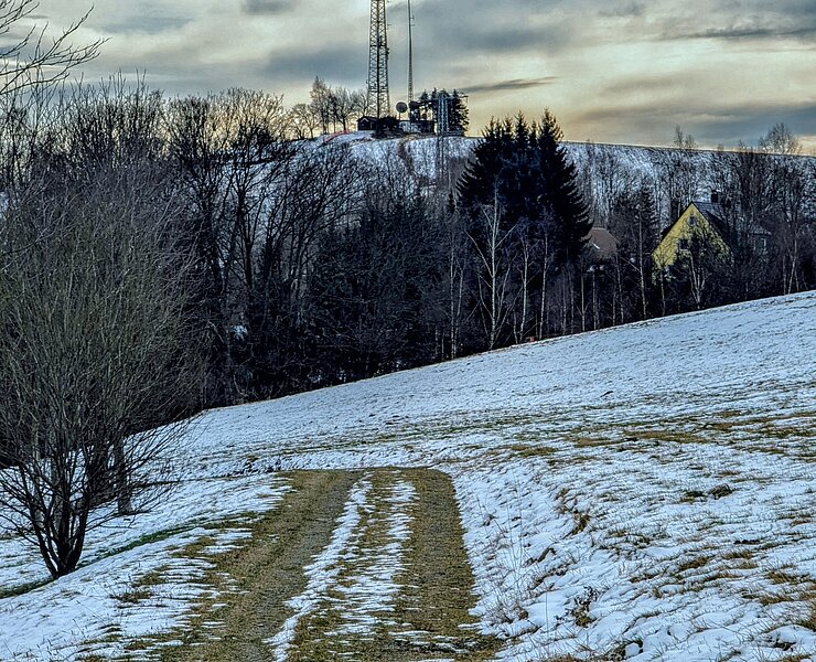 Blick zum Galgenberg (Rico Oelmann)