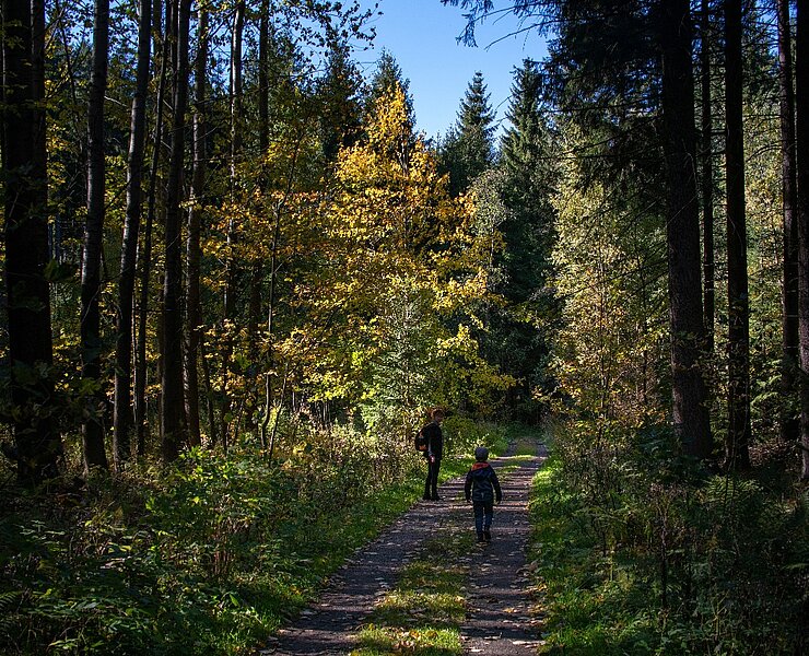 Herbstspaziergang (Olaf Martin)