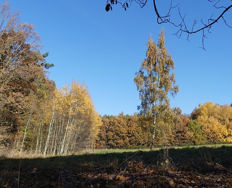  (Steffen Thränert, Natur- und Landschaftsführer)