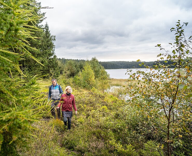 Wanderung auf dem Kammweg (Dennis Stratmann)