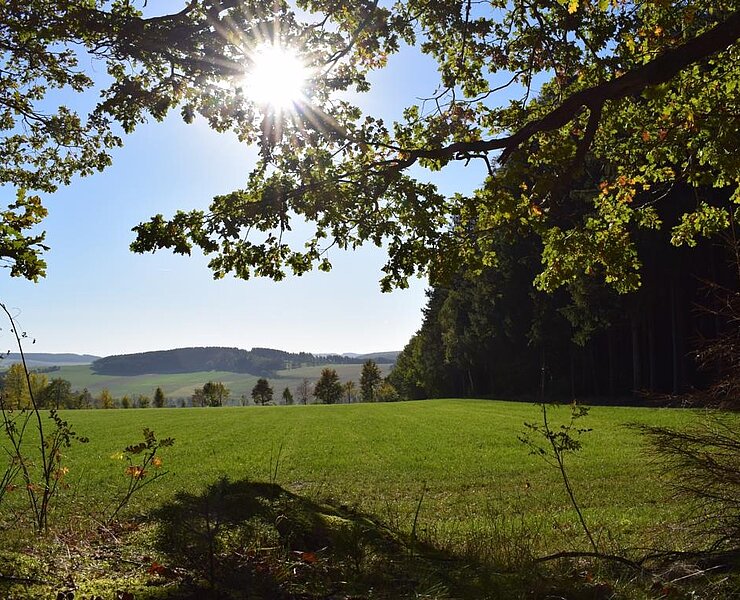 Ausblick am Auerbacher Rundweg (Corinna Bergelt)
