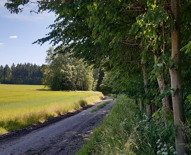 Fröbesteig_Breites Feld (Dirk Weißbach | Welterbe, touristische Kooperation und Infrastruktur)